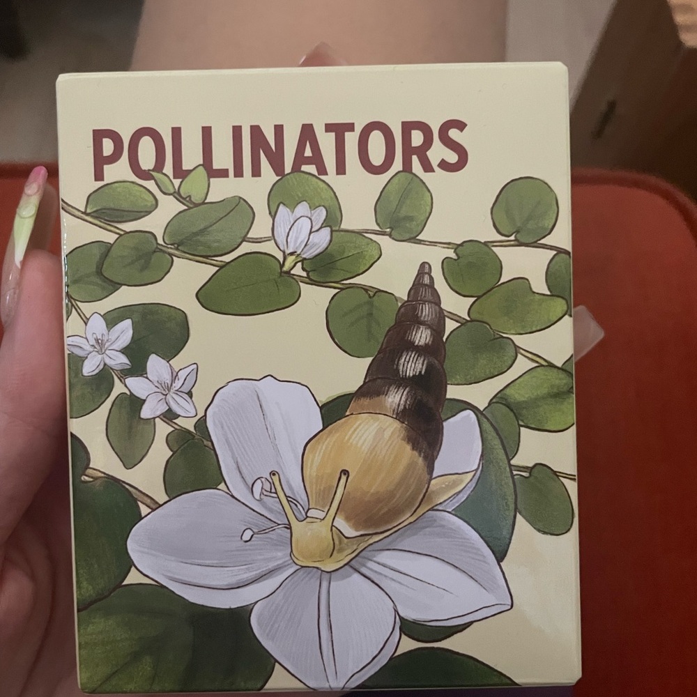 Pollinators Cards